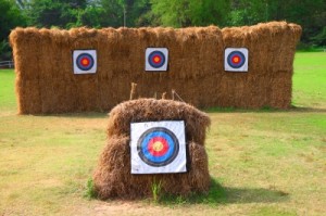 If you hit these haystacks with an arrow, then I guess you literally are "hitting the hay.