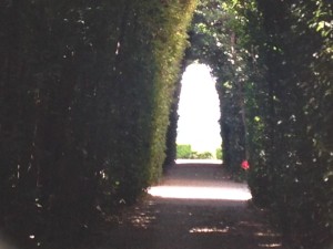 I tried several times to get this photo to work. Just trust me that St. Peter's dome really is framed perfectly between these trees.