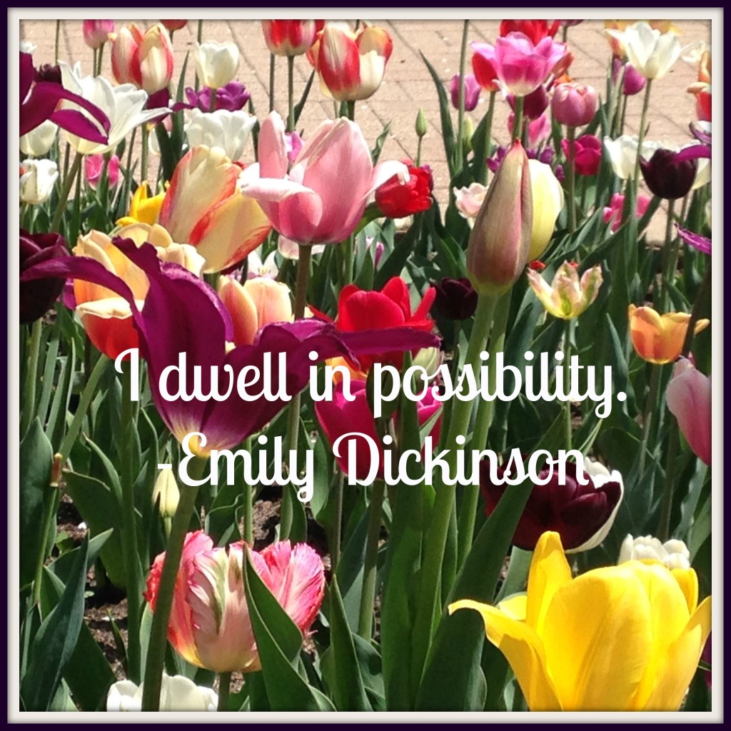 Dwell in Possibility Dickinson