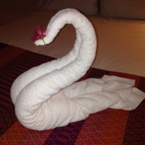 Towel swan that greeted us at our hotel